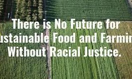 The Collapse Of Farming