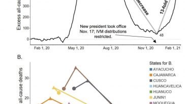 Ivermectin Is Not Being Promoted By Health Officials?