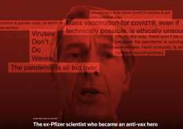 Michael Yeadon and Vaccines and Vaccine Passports