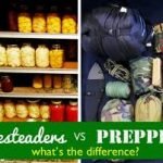 Prepping and Homesteading