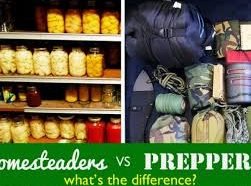Prepping and Homesteading