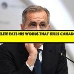 Brookfield style avarice: milk Ontario tax payers to support guaranteed return green energy projects that unreasonably elevated the cost of electricity, then take those returns and roll them into oil pipelines elsewhere. Carney now the celebrity spokesperson charged with maintaining the charade.