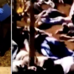 Covid is the Cult of Death