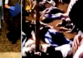 Covid is the Cult of Death