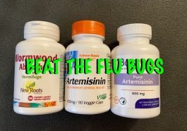 BEAT THE FLU BUGS
