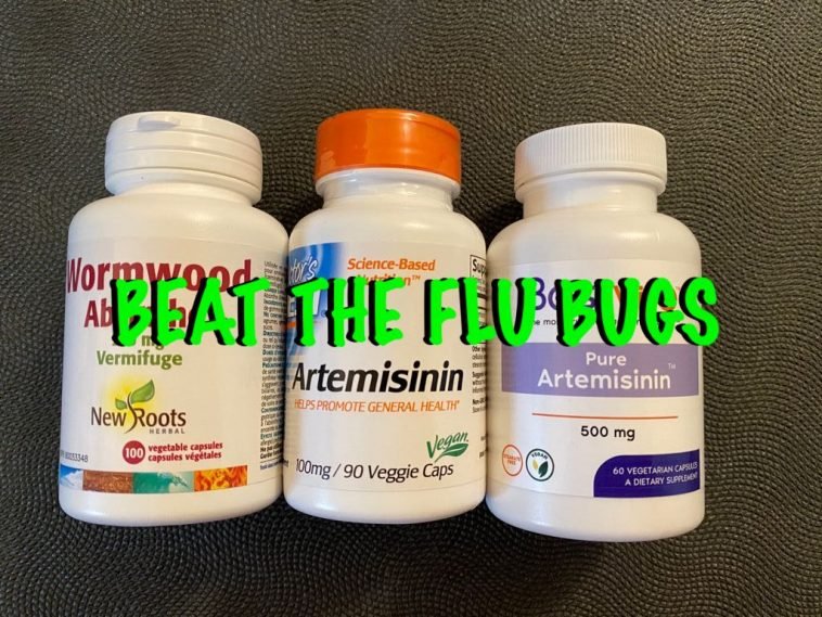 BEAT THE FLU BUGS