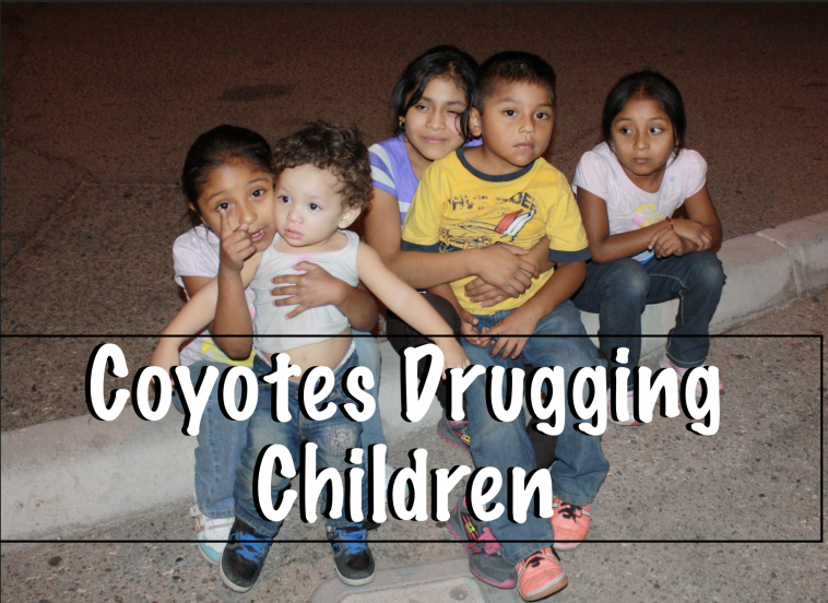 Coyotes Drugging Children