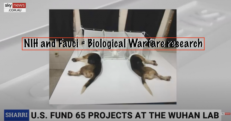 NIH and Fauci = Biological Warfare research