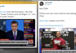 Ivermectin has antibacterial and antiviral qualities and works against a lot of other RNA viruses like Zika and Dengue and Yellow Fever