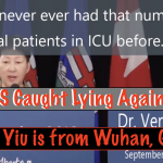Verna Yiu is from Wuhan, Go Figure