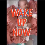 Propaganda and a Health Dictatorship Have Taken the world over and submitted us through domestic training excursuses.