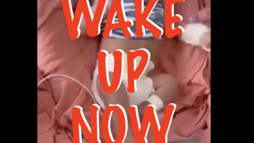 Propaganda and a Health Dictatorship Have Taken the world over and submitted us through domestic training excursuses.