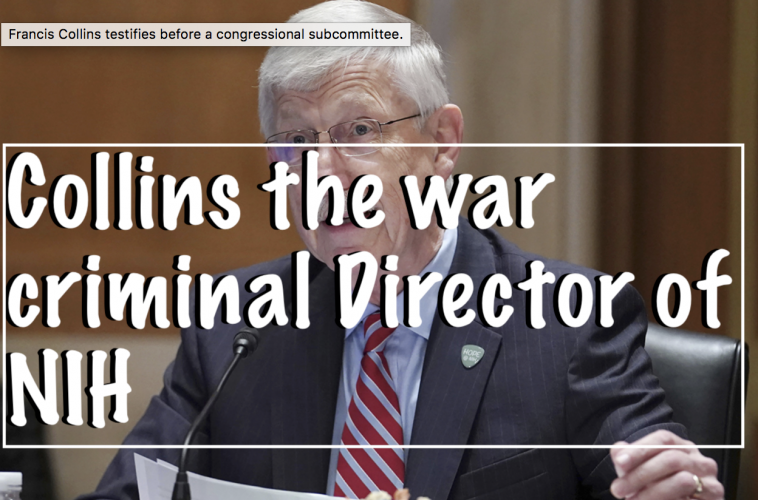 Collins the war criminal Director of NIH