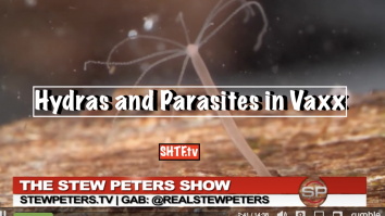 Hydras and Parasites in Vaxx