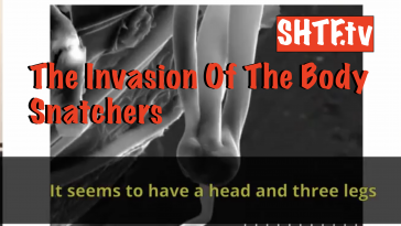 Italian Doctor finds Alien life form in Pfizer vaccine