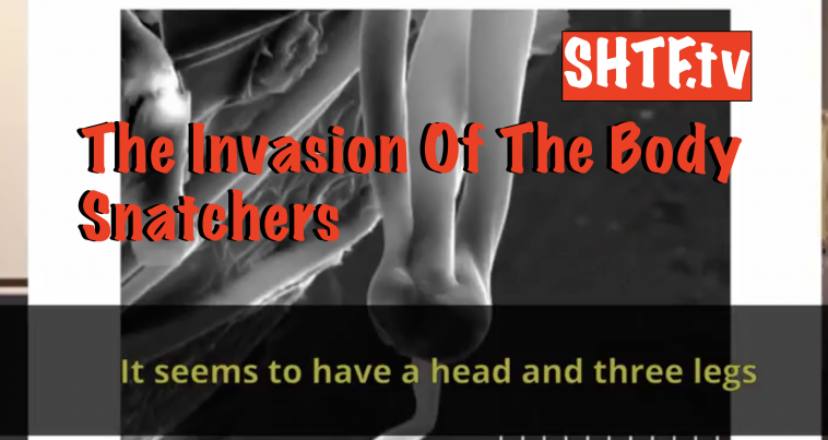 Italian Doctor finds Alien life form in Pfizer vaccine