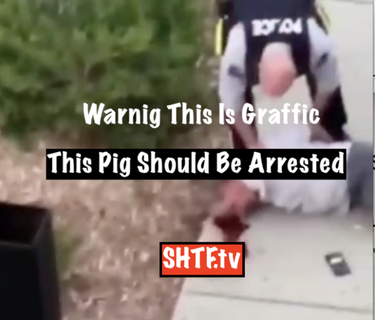 This Pig Should Be Arrested