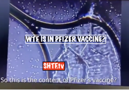 WTF IS IN PFIZER VACCINE?