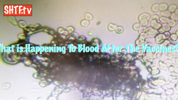 What is Happening To Blood After The Vaccines?