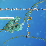 Whats Going On Inside Your Body Right Now