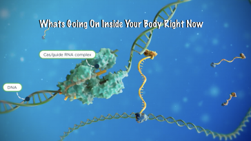 Whats Going On Inside Your Body Right Now