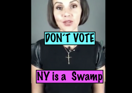 dont vote new york is a swamp