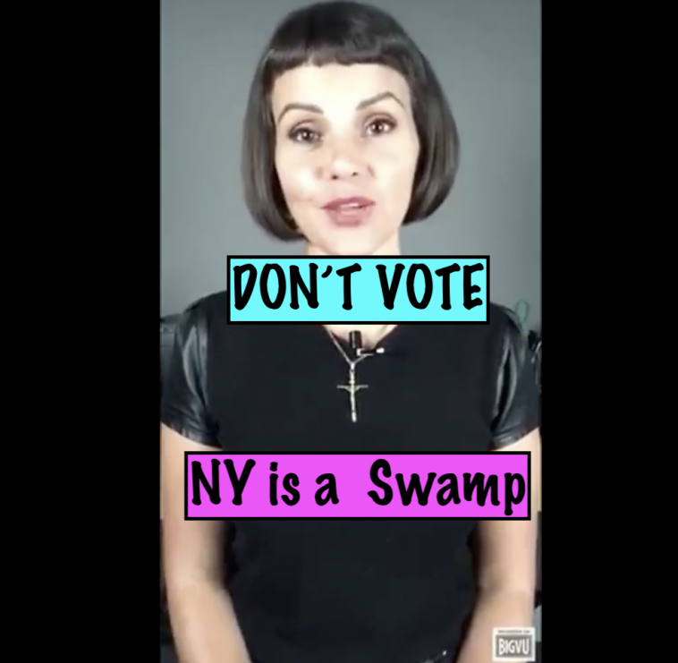 dont vote new york is a swamp
