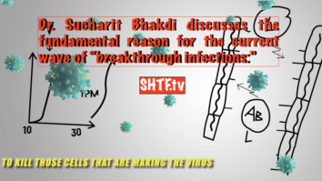 Dr. Bhakdi reiterates the deleterious effects of vaccine-induced immune attack on the blood vessels.