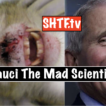 Fauci The Mad Scientists Doing Sick Experiments on Monkeys Too