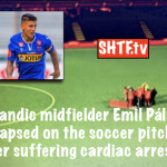 Icelandic midfielder Emil Pálsson collapsed on the soccer pitch after suffering cardiac arrest