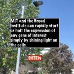 MIT and the Broad Institute can rapidly start or halt the expression of any gene of interest simply by shining light on the cells.