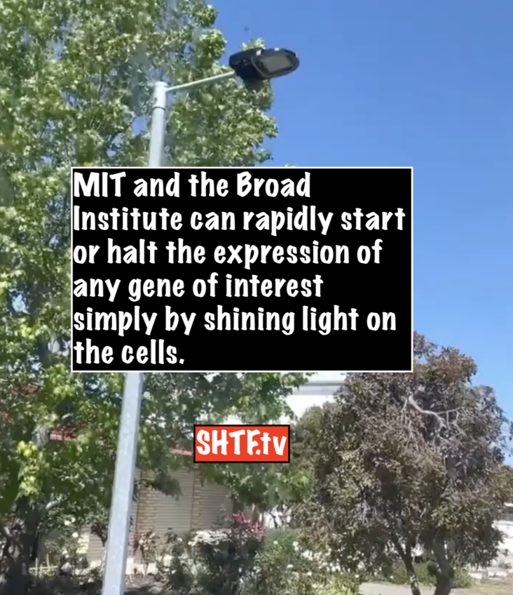 MIT and the Broad Institute can rapidly start or halt the expression of any gene of interest simply by shining light on the cells.