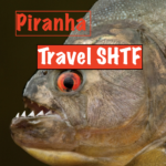 Pirahna attacks teen and eats toe clear off 30 others injuered.