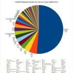 VAERS Report Deaths from 1988 -2021 for all vaccines