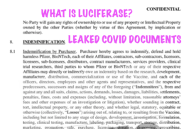 WHAT IS LUCIFERASE?
