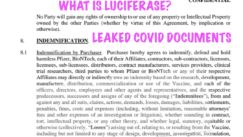 WHAT IS LUCIFERASE?