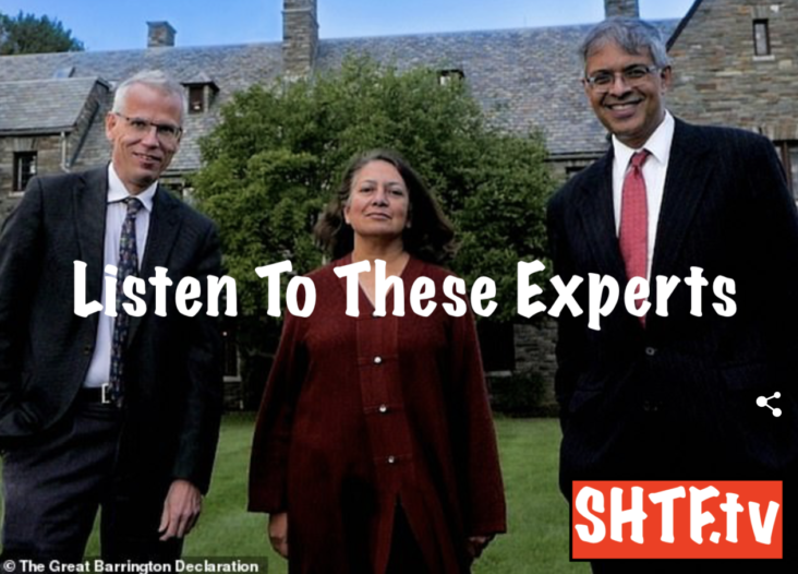 Bhattacharya tweeted in response to the emails: 'So now I know what it feels like to be the subject of a propaganda attack by my own government. Discussion and engagement would have been a better path.'