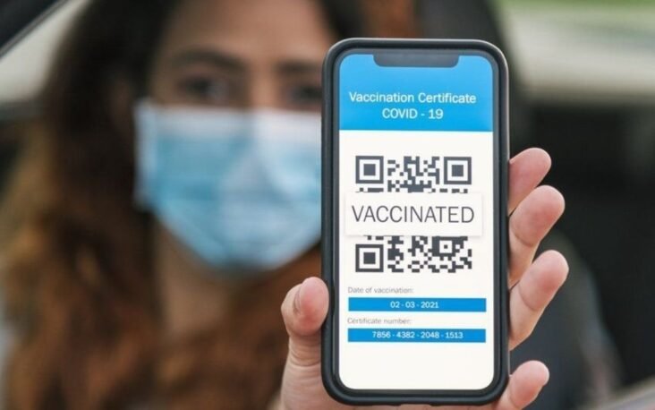 Can We Please End This Embarrassing Vax Pass Charade?