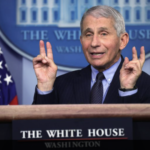 Fauci’s NIH Division Paid $205K for Researchers To Study Transgender Monkeys