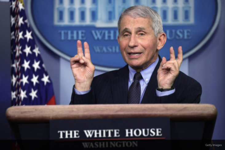 Fauci’s NIH Division Paid $205K for Researchers To Study Transgender Monkeys