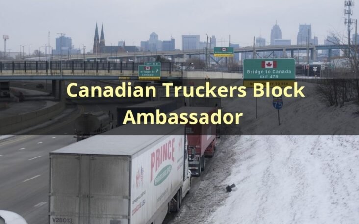 Canadian Truckers Block Ambassador Bridge Connecting Windsor to Detroit as Protests Against COVID-19 Vaccine Mandates Spread