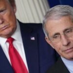 Dr. Fauci and the Coronavirus Policy Blame Game | Opinion