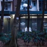 Global-Freedoms-Have-Hit-a-Dismal-Record-Low-With-Pandemic-Restrictions-Making-Things-Much-Worse