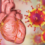 many stories of young men developing myocarditis, defined by the Centers for Disease Control and Prevention as “inflammation of the heart muscle,” and pericarditis, which is “inflammation of the outer lining of the heart,”