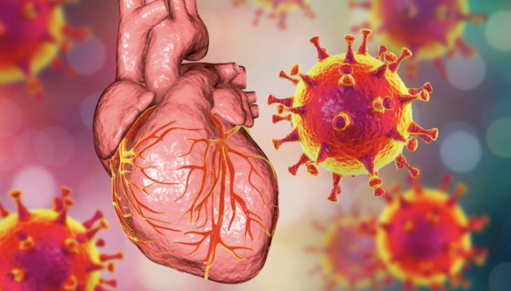many stories of young men developing myocarditis, defined by the Centers for Disease Control and Prevention as “inflammation of the heart muscle,” and pericarditis, which is “inflammation of the outer lining of the heart,”