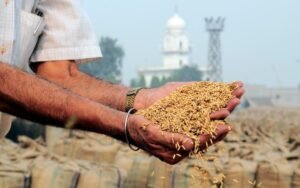 The-Global-Elites-‘Kill-and-Control-Agenda-Destroying-Our-Food-Security