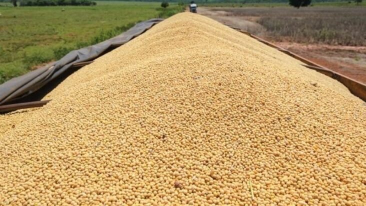 Argentina Halts Soy Exports As Food Protectionism Soars