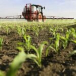Alarming Signs Farmers Reduce Fertilizer May Wreck Crop Yields