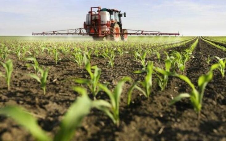 Alarming Signs Farmers Reduce Fertilizer May Wreck Crop Yields