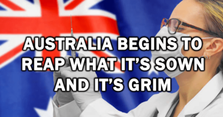 Australia begins to reap what it has sown. It's grim.